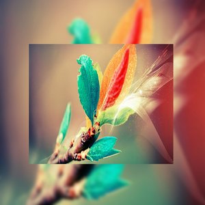 男人添女人阴帝全视频
